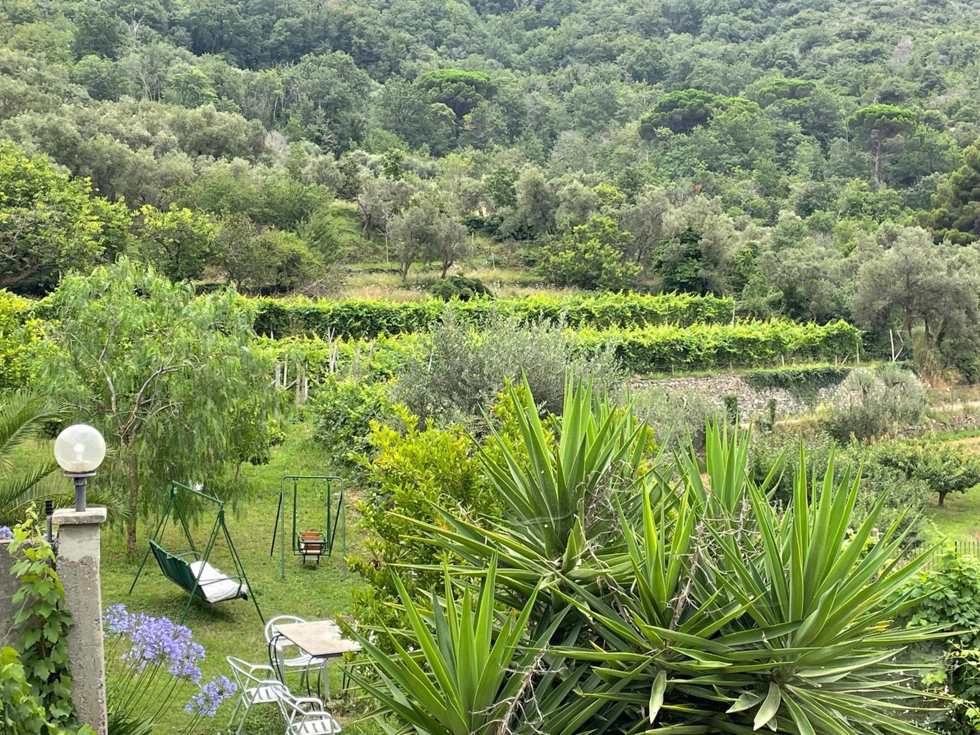 Agriturismo Barilaro Finale Ligure Exterior photo