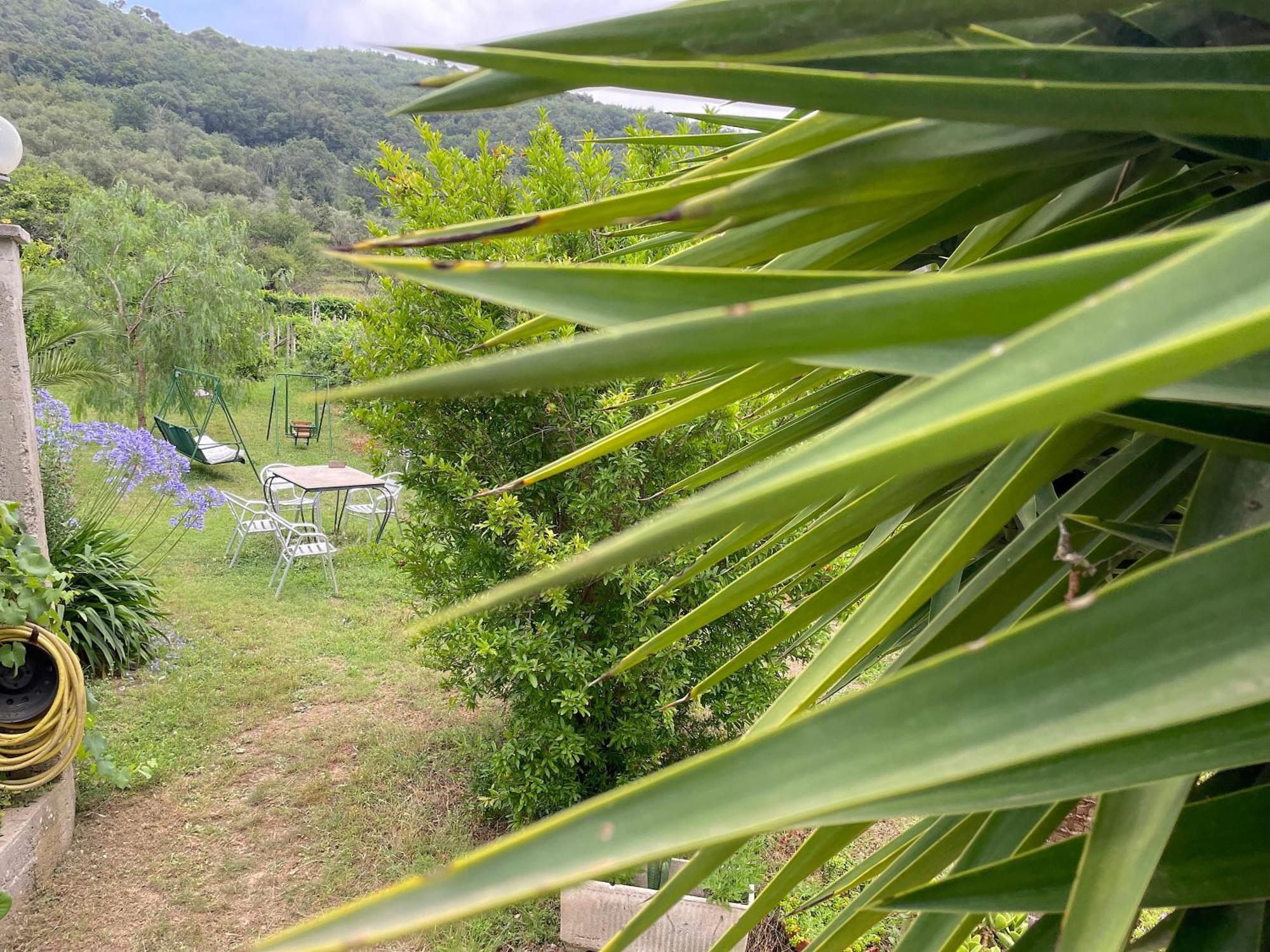 Agriturismo Barilaro Finale Ligure Exterior photo